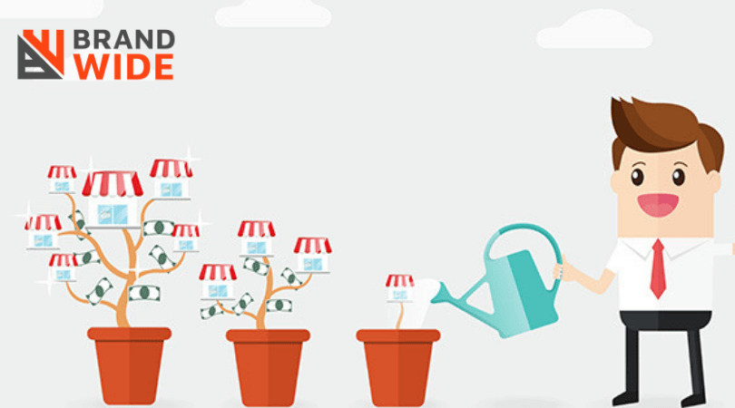 How to Plan for a Franchise Development Structure to Make Your Owners Successful