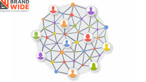 Franchise software