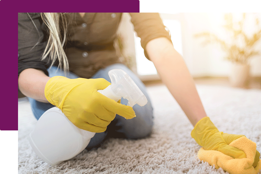 carpet cleaning