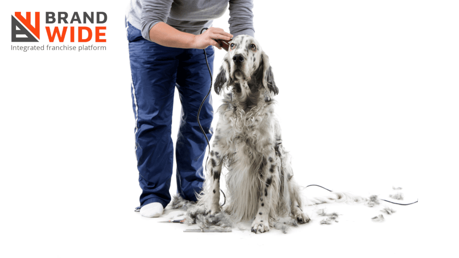 How Dog Grooming Software Help In Starting A Grooming Business