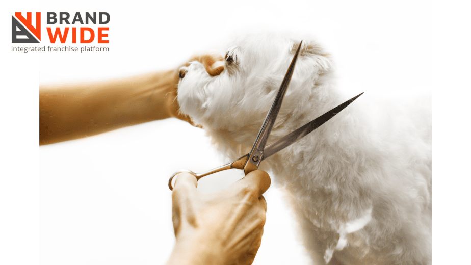 5 Important Features to Look For While Choosing Dog Grooming Software