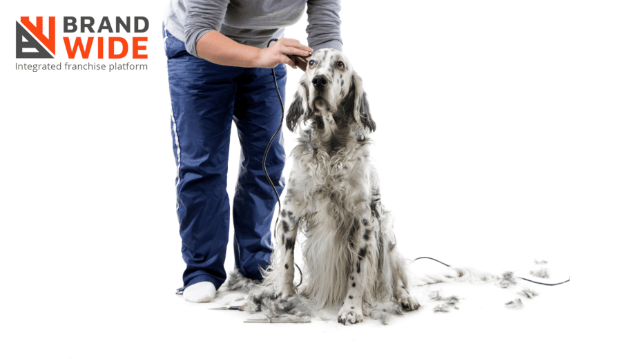 What Are The Advantage Of Dog Grooming Software In Pet Business