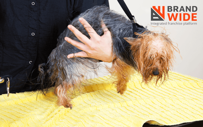 The Importance Of Dog Grooming Software On Grooming Business