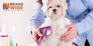 Dog Grooming Software