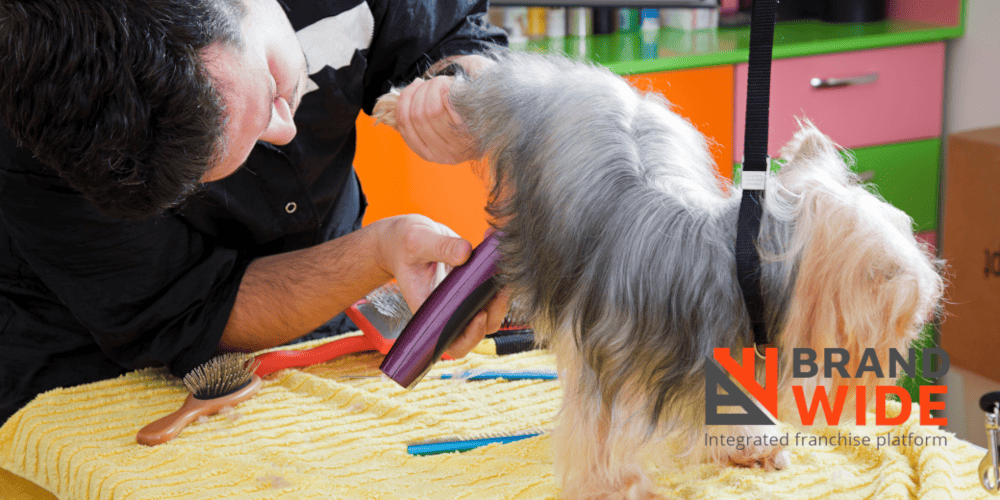 Dog Grooming Software