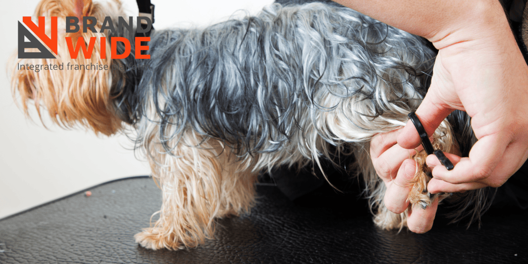 How Dog Grooming Software Help in Building Grooming Clients
