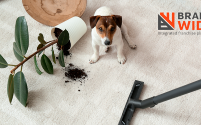 How To Make Your Carpet Cleaning Business A Franchise
