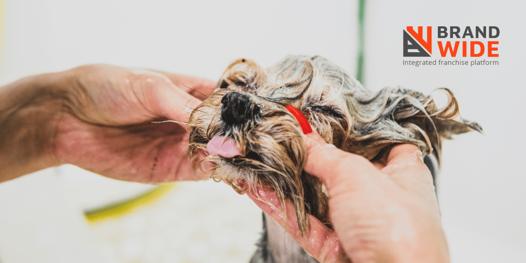 7 Advantages of Pet Grooming Software for Pet Business