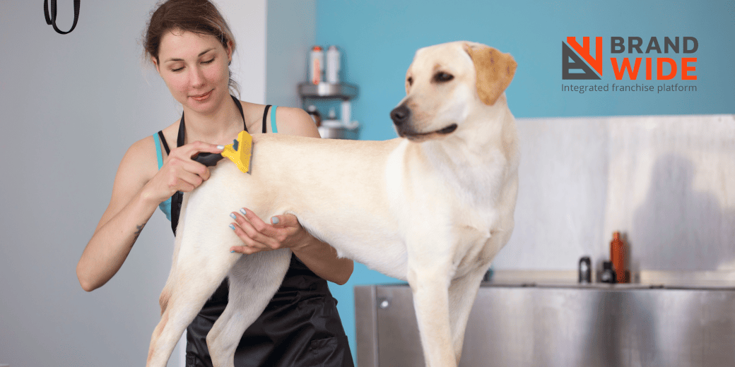 How Does Pet Grooming Software Help in Pet Grooming Business