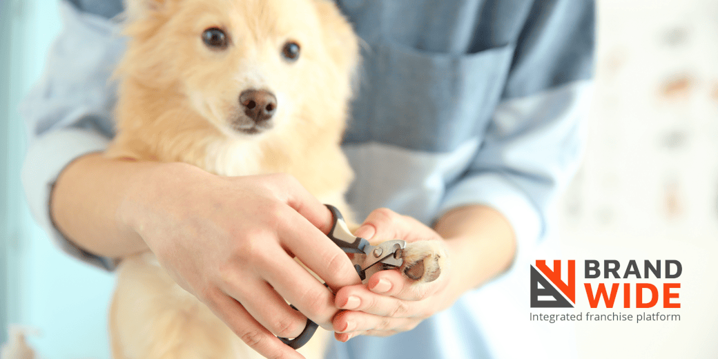 How to Start Pet Grooming Business Using Pet grooming software
